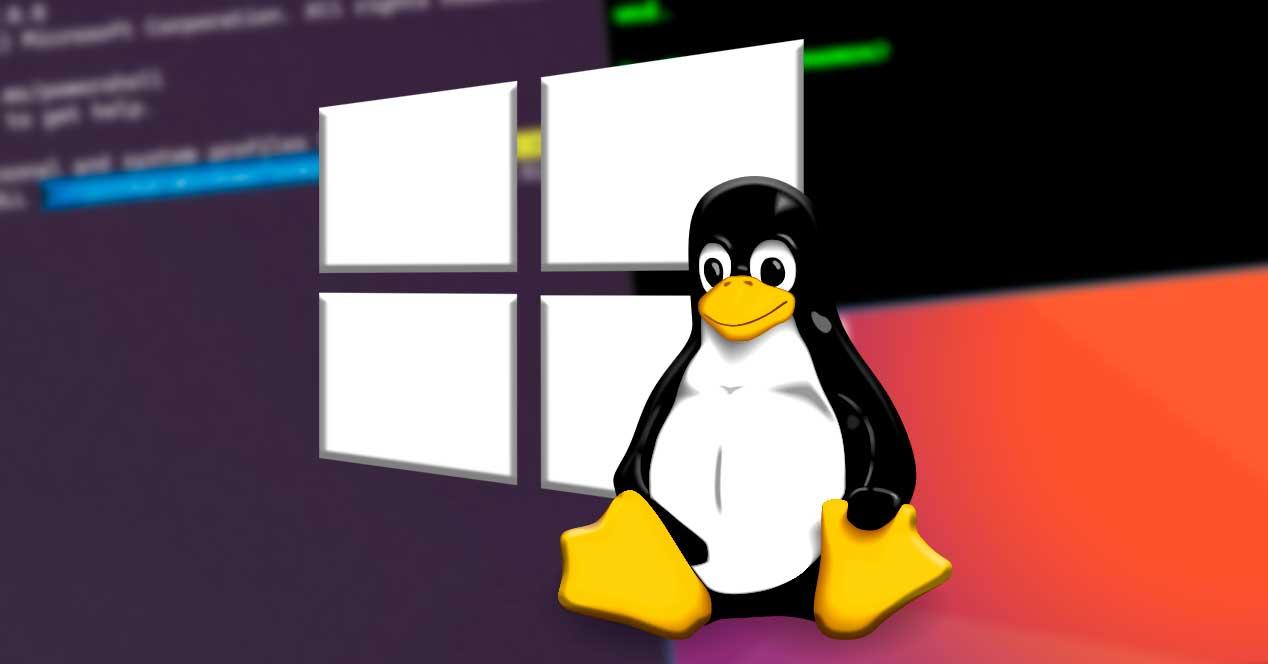 Terminales Subsistema Windows Linux