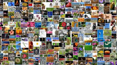 biblioteca imagenes