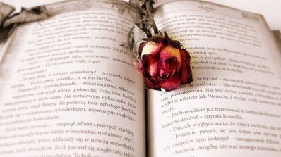 libros calibre