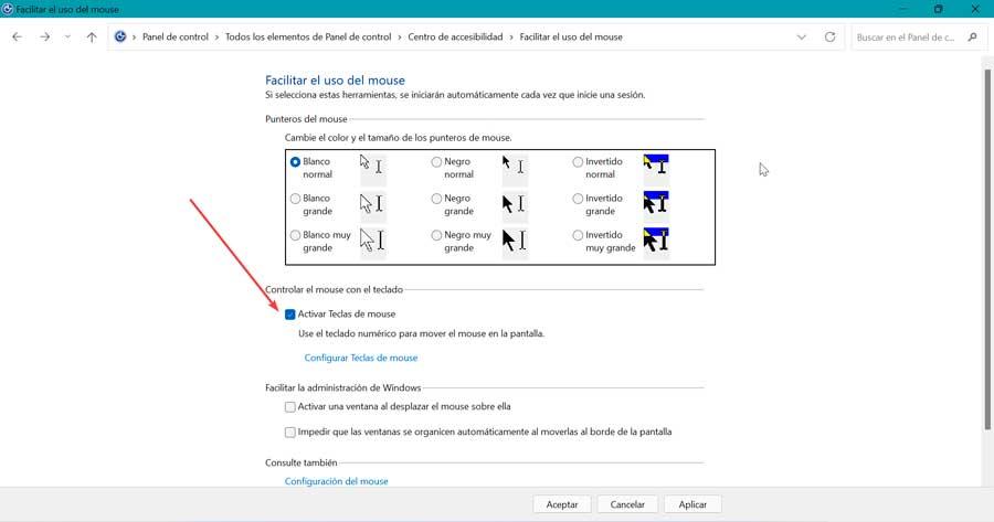 Windows 11 Activați Teclas de mouse în Panou de control