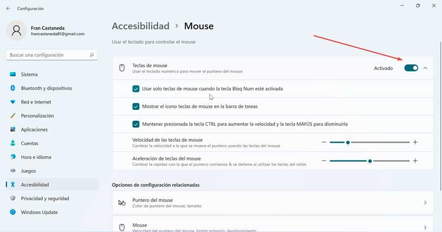 Windows 11 Teclas de mouse
