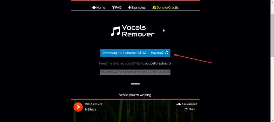 Vocal Remover descargar canción