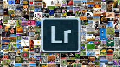 lightroom usar gratis