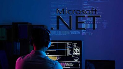 .Net Framework pantalla