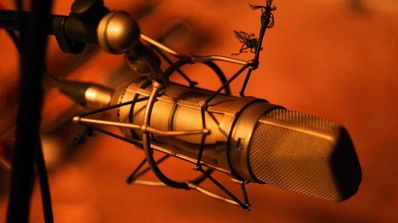 voz audacity
