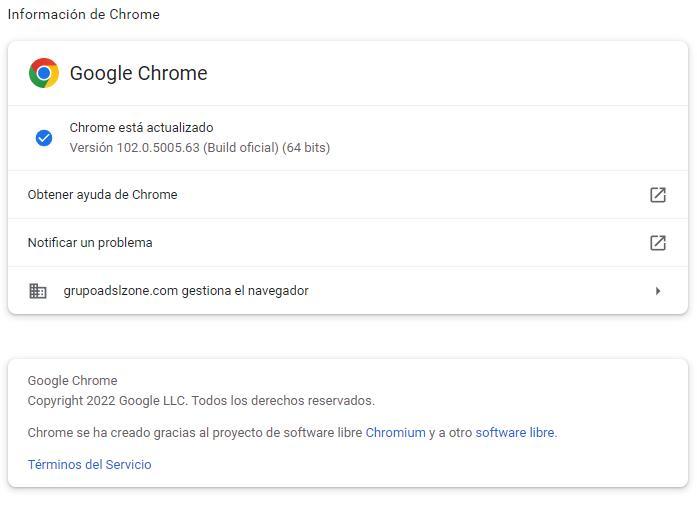 Google Chrome 102