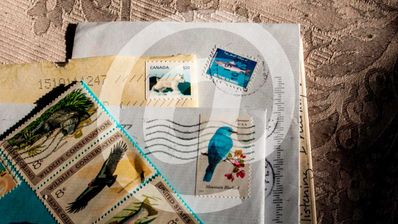 Cartas luz email