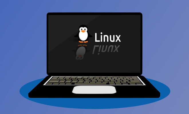 Portátil Linux