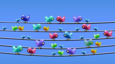 twitter editar