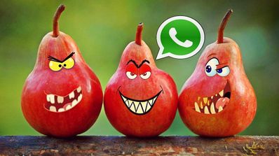 memes whatsapp