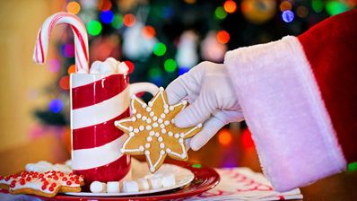 plato papa noel