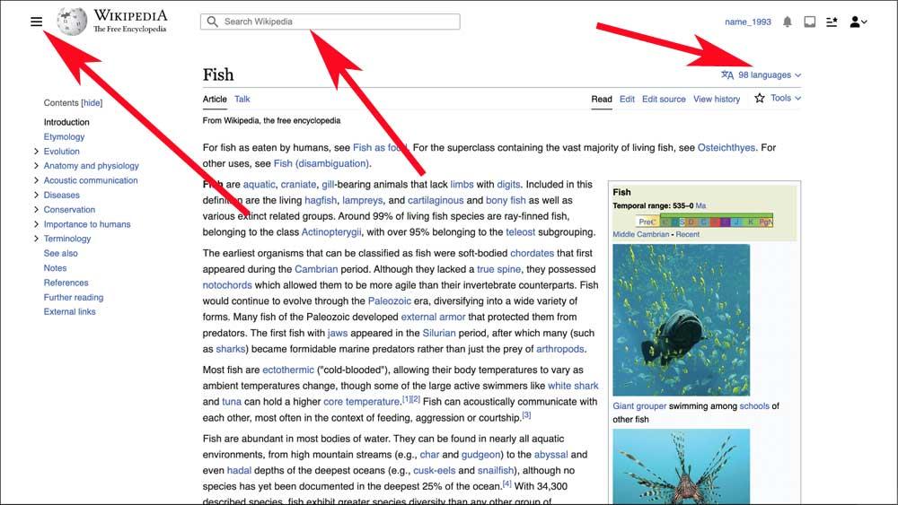 Wikipedia interfaz