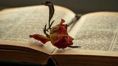 enciclopedia