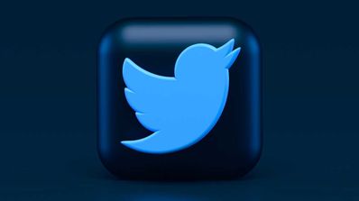 twitter pajaro