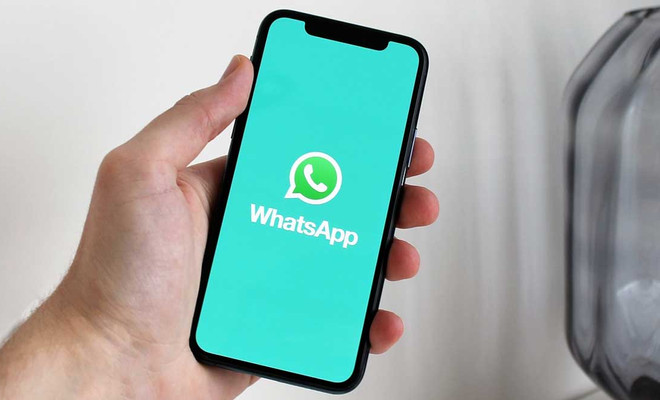 whatsapp edición
