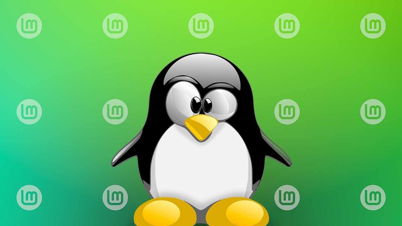 Das neue Linux Mint 21.2 „Victoria“ ist da