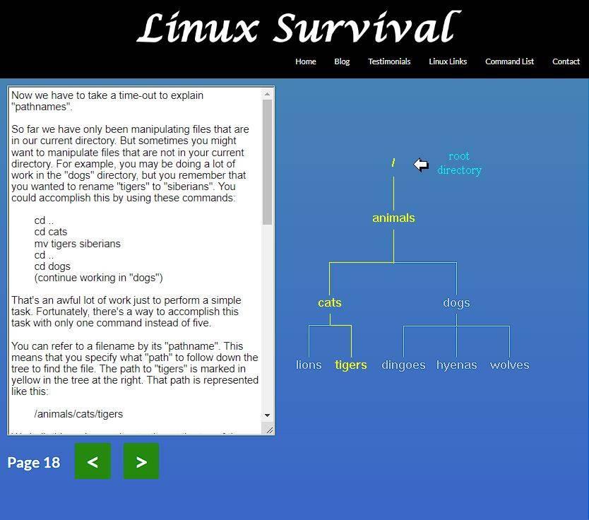 Linux Survival