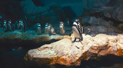 Linux gnome