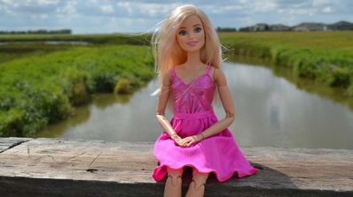 rosa barbie