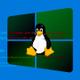 Linux en pantallazo azul Windows