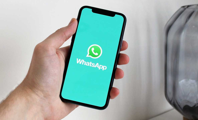 movil whatsapp
