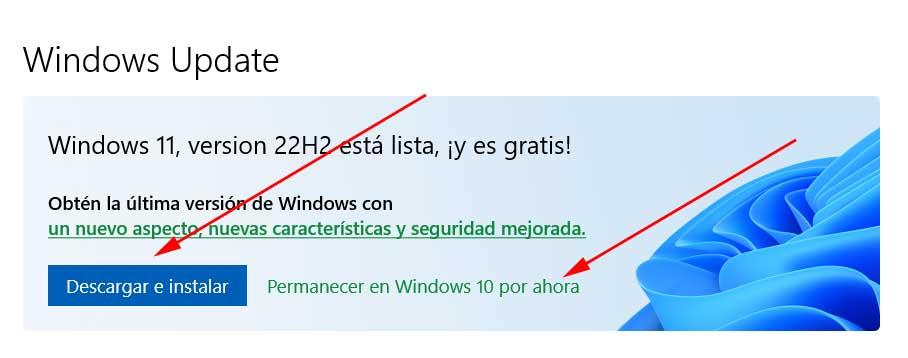 actualizar windows 11