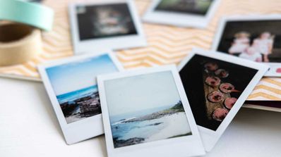 fotos muestras
