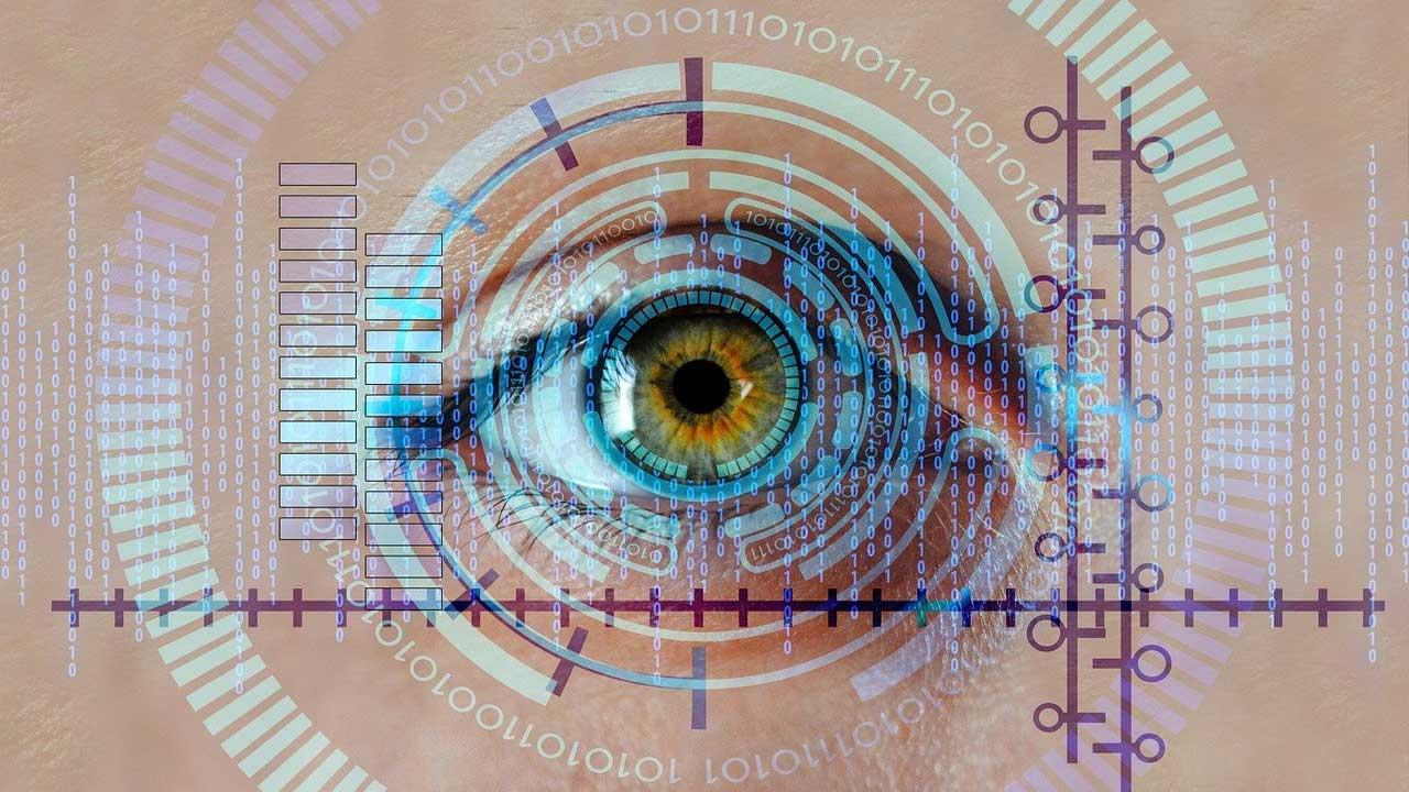 ojo retina biometria