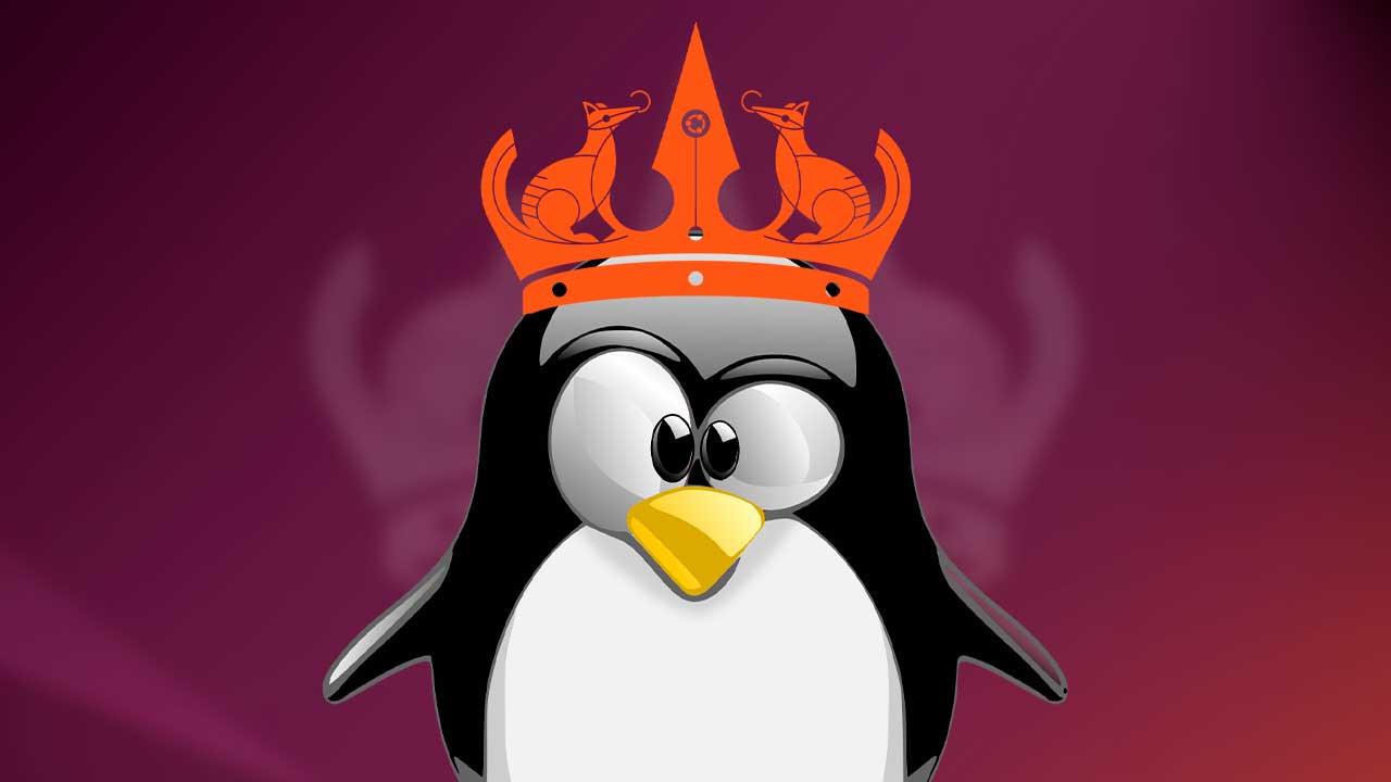 Ubuntu Linux 24.04
