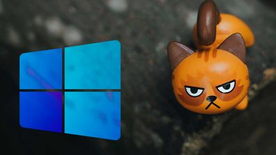 Windows con gato enfadado