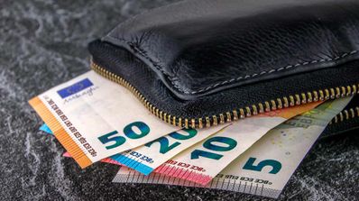 Cartera con euros