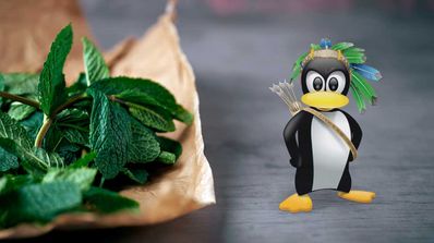 linux mint distro