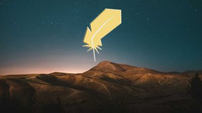 logo linux lite