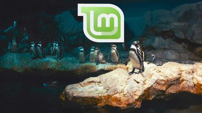 Linux mint