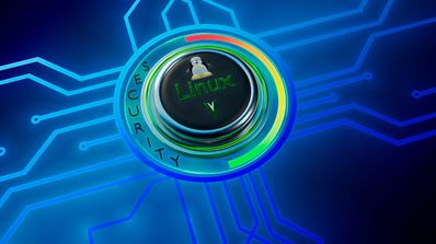 Distros alternativas a Windows 11