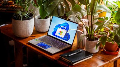 tienda windows 11