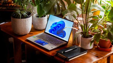 portatil windows 11