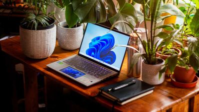 escritorio windows 11
