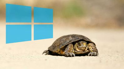 tortuga windows