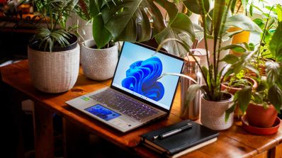 windows 11 planta