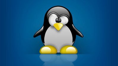 linux ubuntu