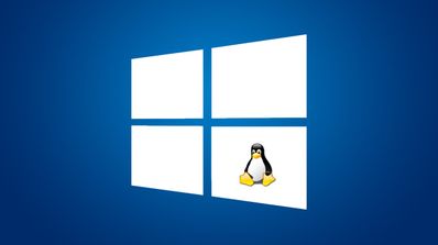 windows linux