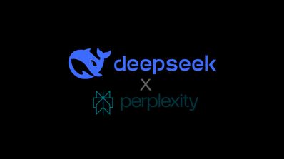 deepseek y perplexity