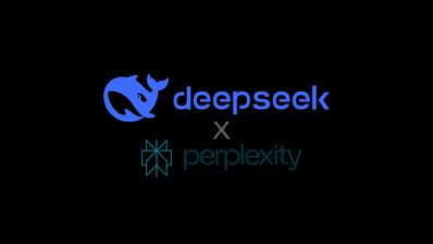 deepseek y perplexity