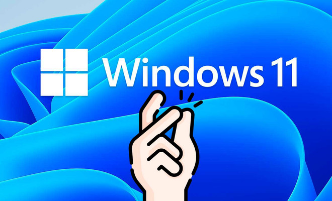 windows 11 portada