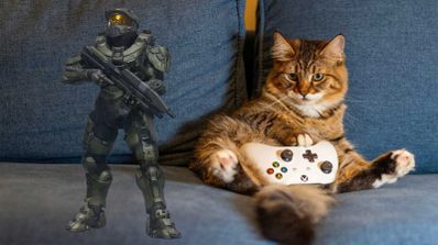 halo juegos windows