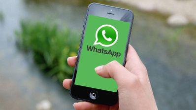 whatsapp movil