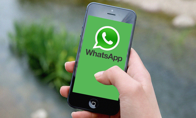 movil whatsapp