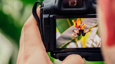 fotografía profesional