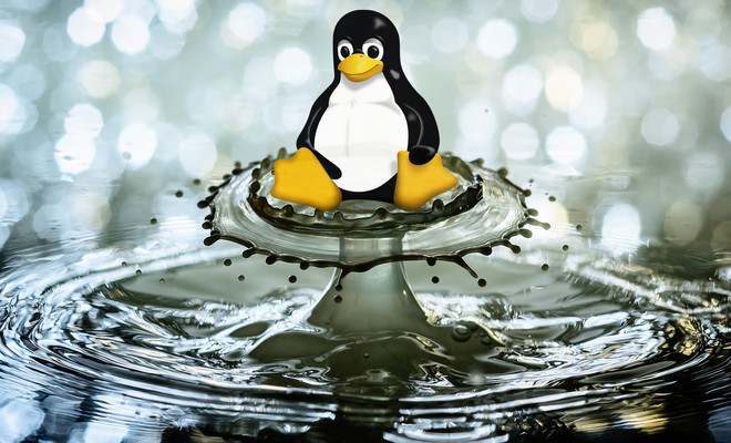 El escritorio Linux GNOME 50.5 ya disponible: correcciones críticas de seguridad y mejoras de estabilidad